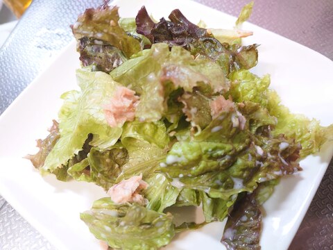 簡単 ツナとサニーレタスのサラダ レシピ 作り方 By Rururu13 楽天レシピ 簡単 ツナとサニーレタスのサラダ レシピ 作り方 By Rururu13 楽天レシピ